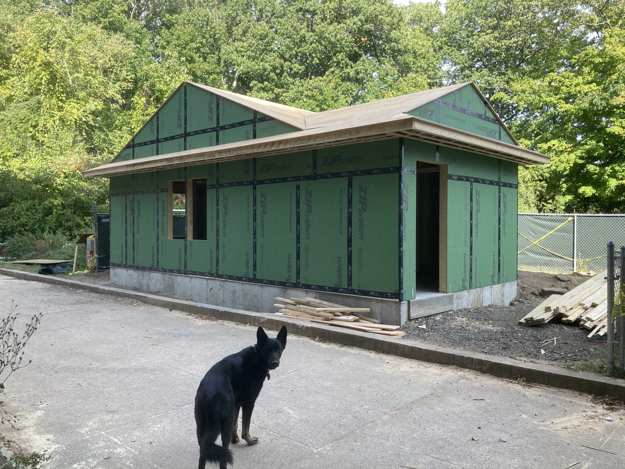 HCC dog kennel framing